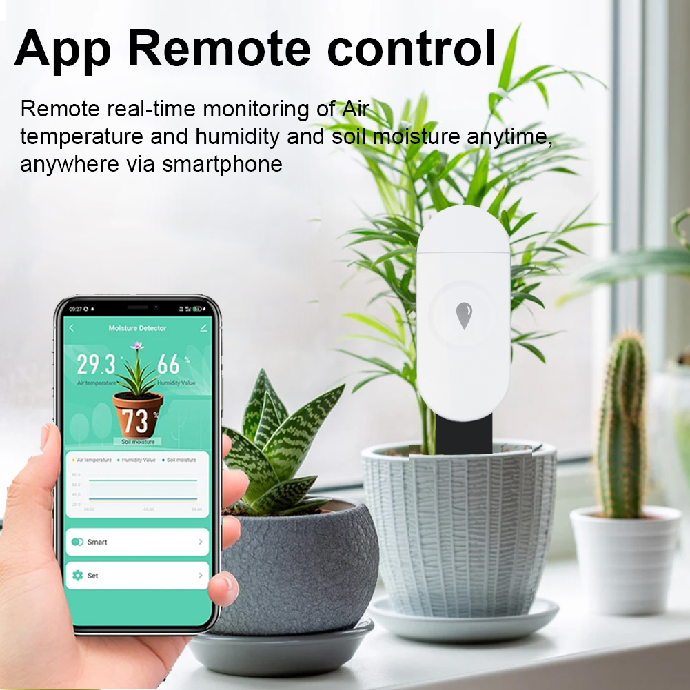 Tuya Zigbee Rilevatore di umid - Smart Home News recensione e prezzo