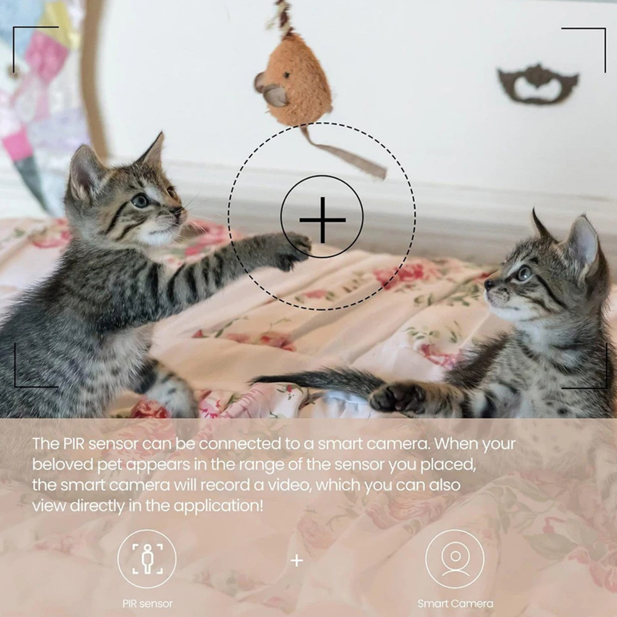 Sensore di Movimento PIR ZigBe - Smart Home Blog recensione e prezzo