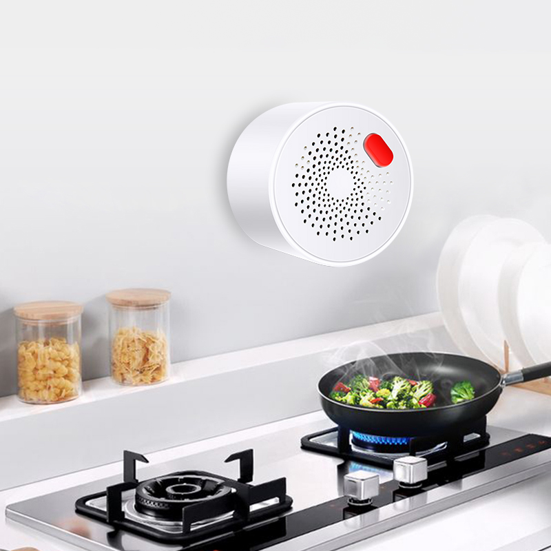 Tuya Smart Home Wifi sensore d - Smart Home Blog recensione e prezzo