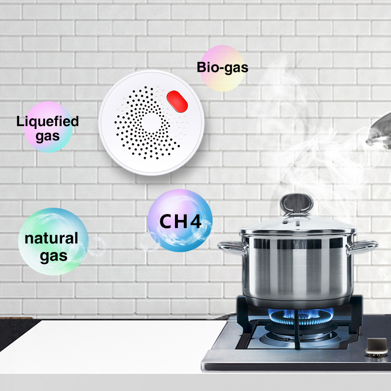 Tuya Smart Home Wifi sensore d - Smart Home Blog recensione e prezzo